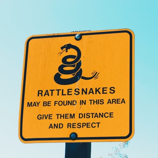 Le Rêve de Serpents: Interprétation et Signification