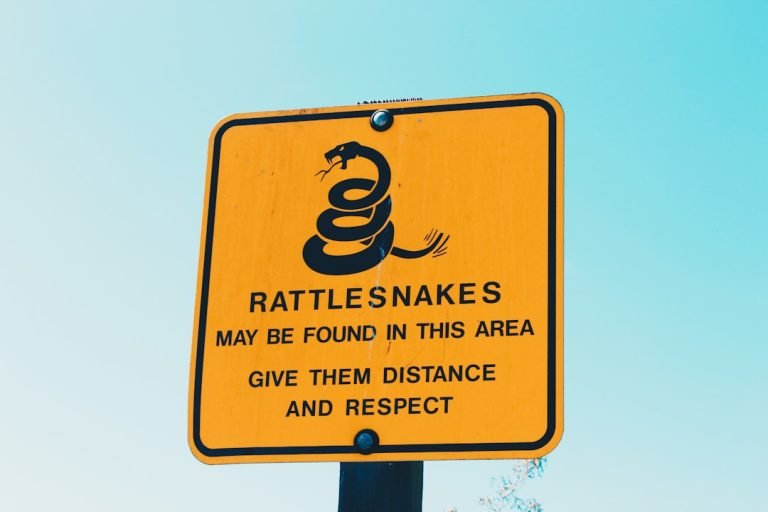 Le Rêve de Serpents: Interprétation et Signification