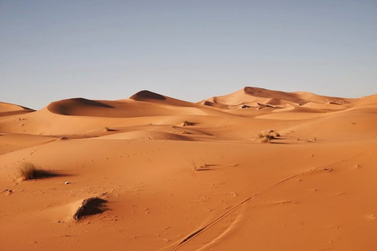 Rêve de scorpion: le symbole énigmatique de l&rsquo;inconscient