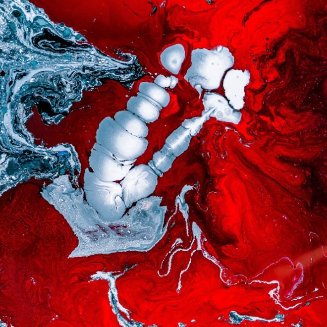 Le Rêve de Cancer: Une Exploration de la Guérison par les Rêves