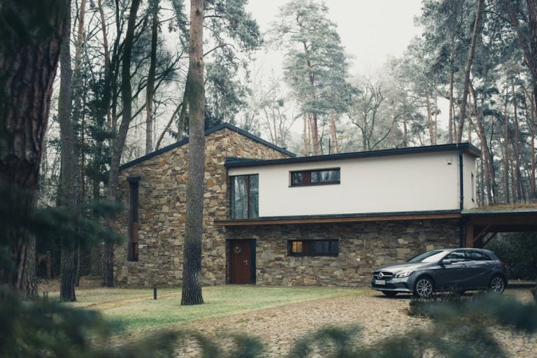 Rêve de forêt : une immersion envoûtante dans la nature