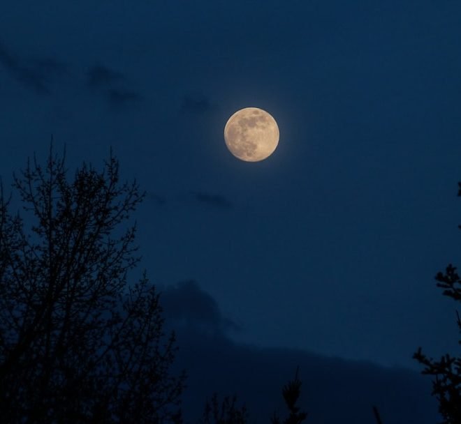 Rêve de lune: l&rsquo;histoire d&rsquo;un voyage nocturne