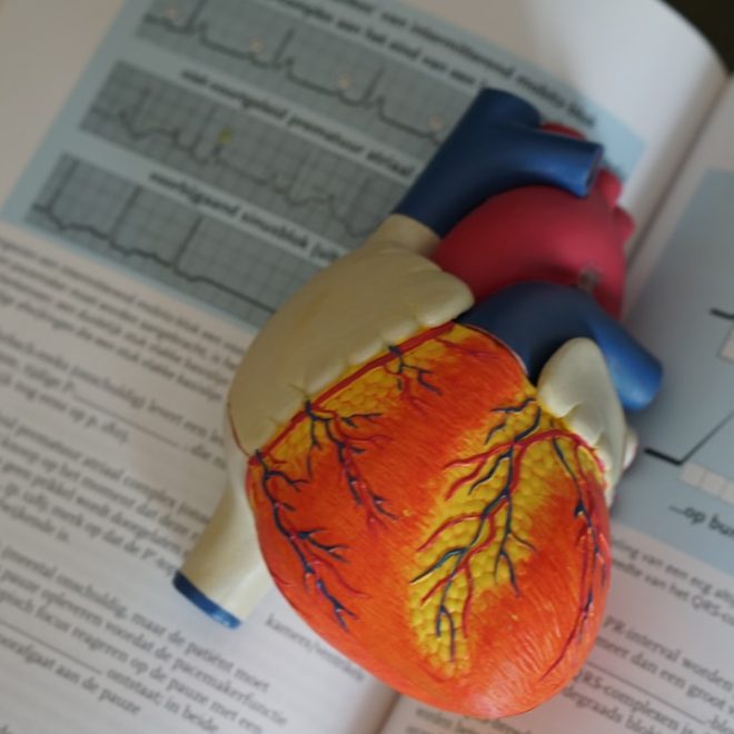Le Rêve de médecin: réaliser la passion de soigner