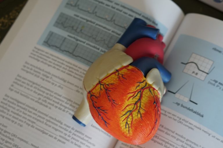 Le Rêve de médecin: réaliser la passion de soigner