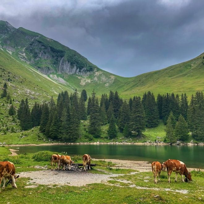 Rêve de montagnes: L&rsquo;appel de la nature