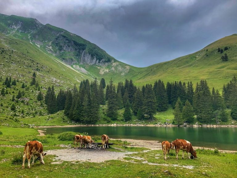 Rêve de montagnes: L&rsquo;appel de la nature