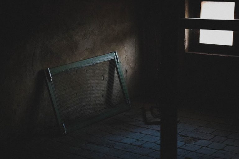 L&rsquo;ombre et le côté obscur dans les rêves